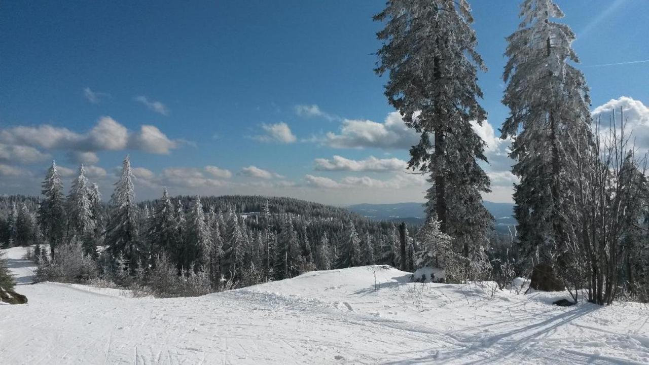 Ferienpension Fremuth Ruhmannsfelden ภายนอก รูปภาพ